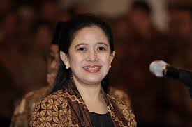  Ini 14 Anggota DPR RI Peraih Suara Tertinggi, Puan Maharani Nomor 1